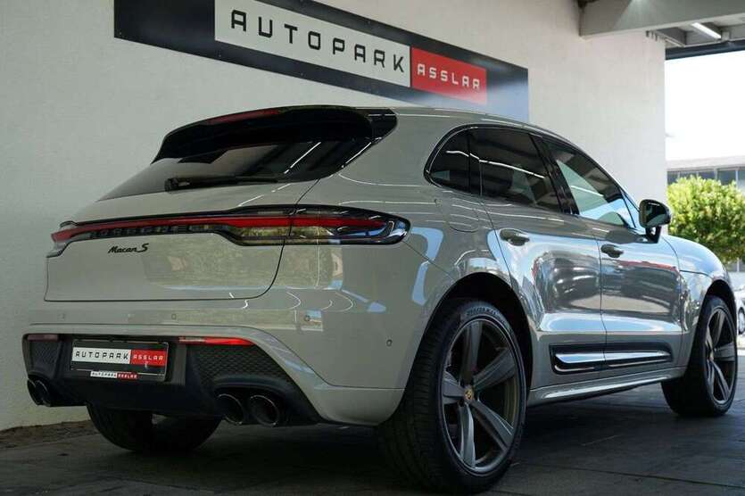Macan