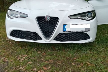Alfa Romeo Giulia 134.000 km 17.700 € Unterneukirchen 84579