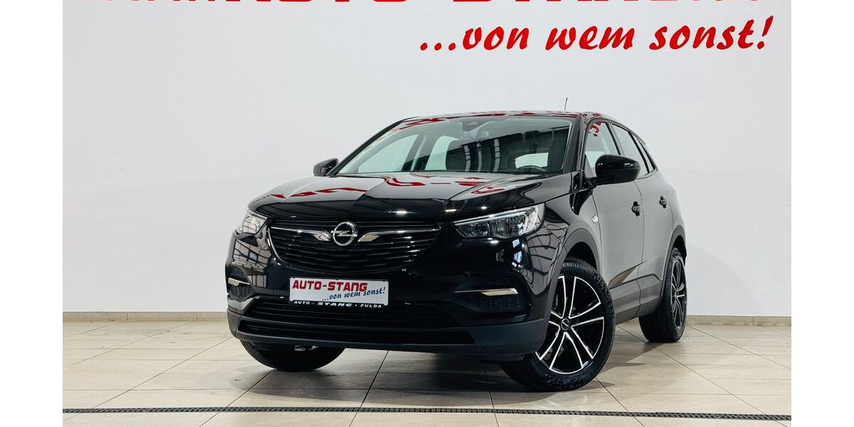 Opel Grandland (X) 61.699 km 13.890 &euro; Fulda 36043