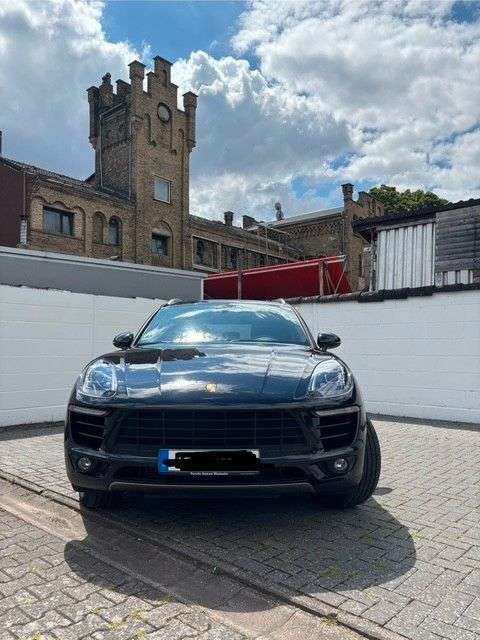 Macan