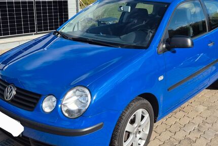 VW Polo 202.000 km 1.800 &euro; Passow 19386