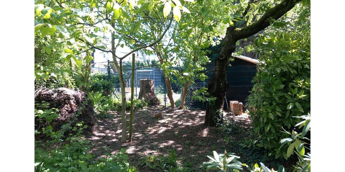 Doppelhaushälfte Würselen - 8 Zimmer, 155 m&sup2;, 343.000&euro; | Angebot:26865155