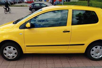 VW Fox