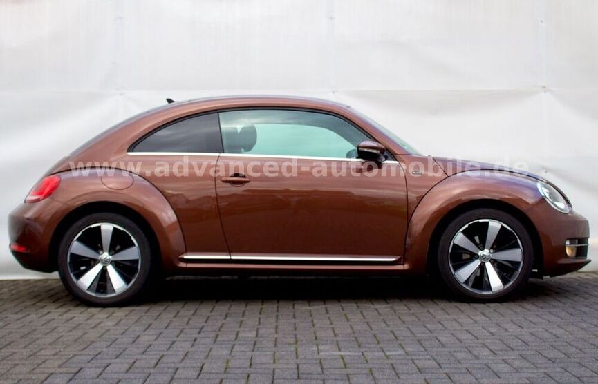 Beetle