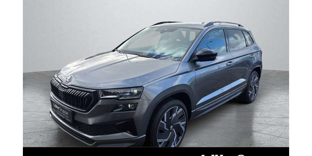 Skoda Karoq 69.256 km 28.990 &euro; Daun 54550