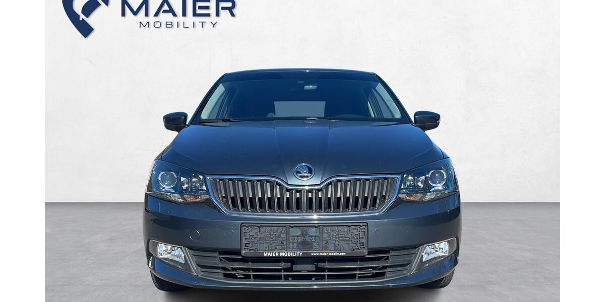 Skoda Fabia 99.800 km 8.950 &euro; Ludwigsau 36251