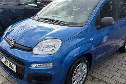 Fiat Panda 6.000 km 13.985 &euro; Pohlheim 35415