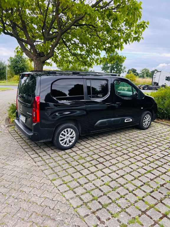 Berlingo