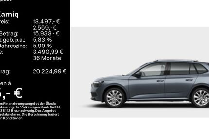 Skoda Kamiq 61.550 km 18.497 &euro; Büdingen-Düdelsheim 63654