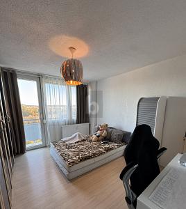 WEITBLICK & WOHLGEFÜHL MIT GROßER DACHTERRASSE - Einfamilienhaus Sindelfingen Eichholz | Angebot:25449320