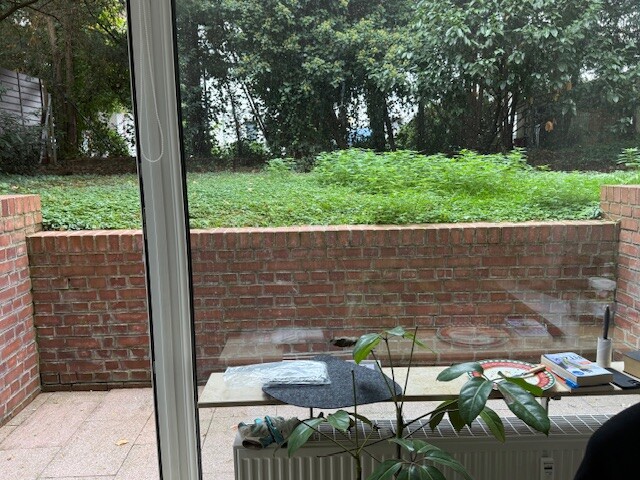 Gartenappartement - modernisiert - EBK - auch Studenten mit Elternbürgschaft 1 zimmer