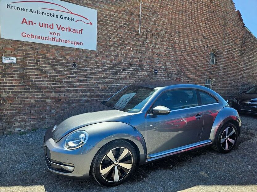 Beetle