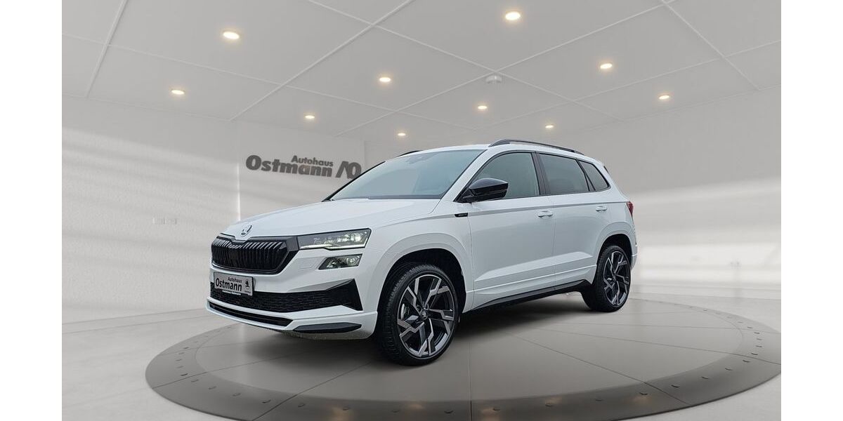 Skoda Karoq 4.900 km 39.989 &euro; Wolfhagen 34466