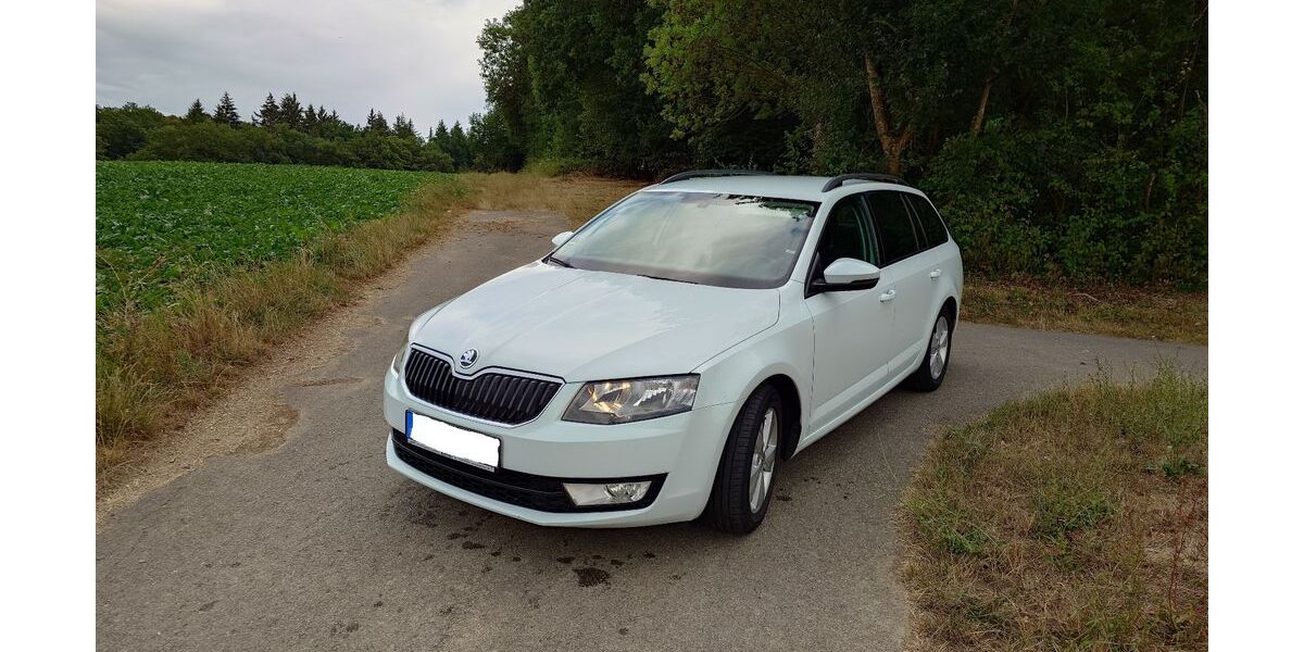 Skoda Octavia 62.500 km 15.500 &euro; Schwaigern 74193