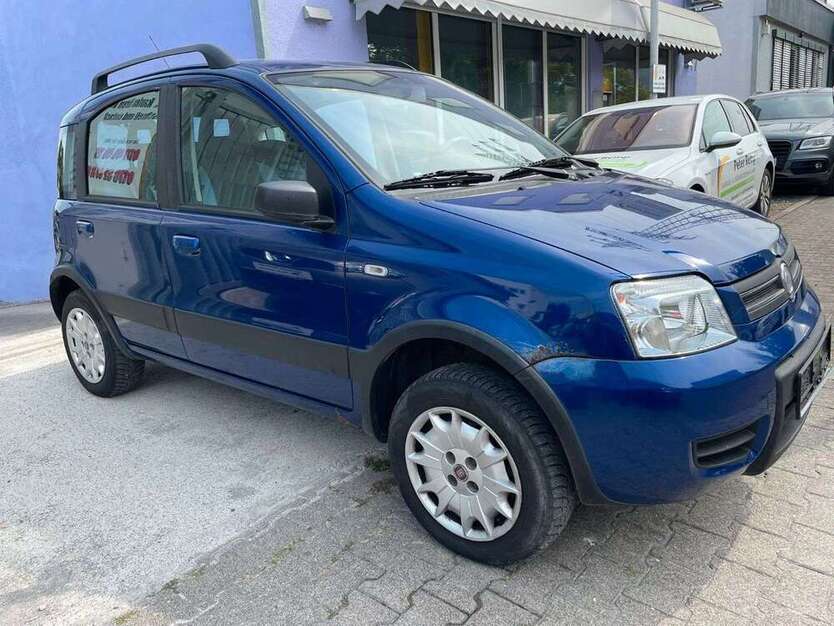 Panda