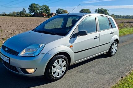 Ford Fiesta 223.450 km 1.499 &euro; Stolzenau OT Nendorf 31592