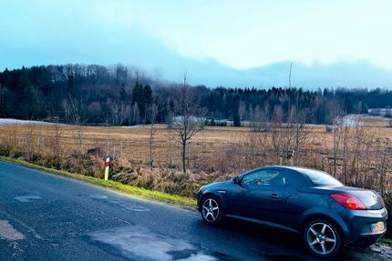 Opel Tigra 185.000 km 950 &euro; Hamburg 22089