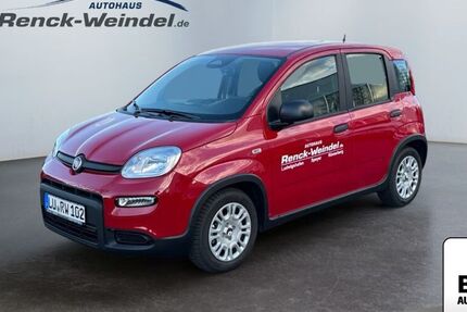 Fiat New Panda