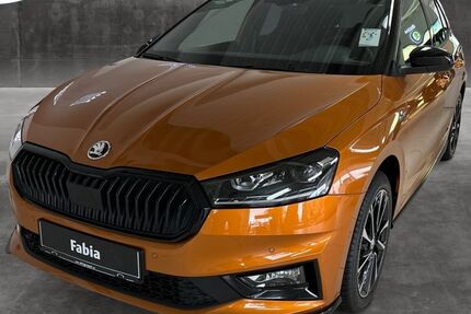 Skoda Fabia 16.606 km 23.950 &euro; Chemnitz 09116