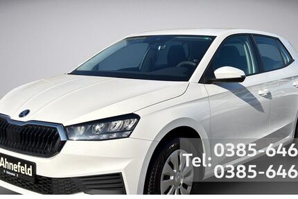 Skoda Fabia 11.600 km 15.666 &euro; Schwerin 19061