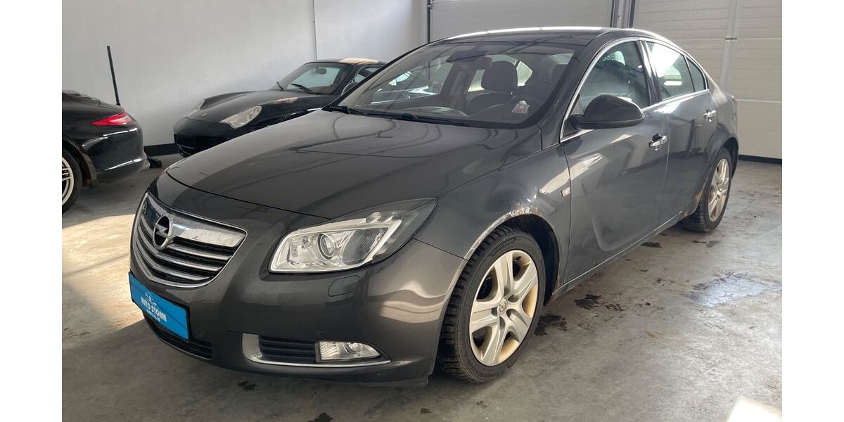Opel Insignia 110.600 km 3.999 &euro; Landau a.d.Isar 94405