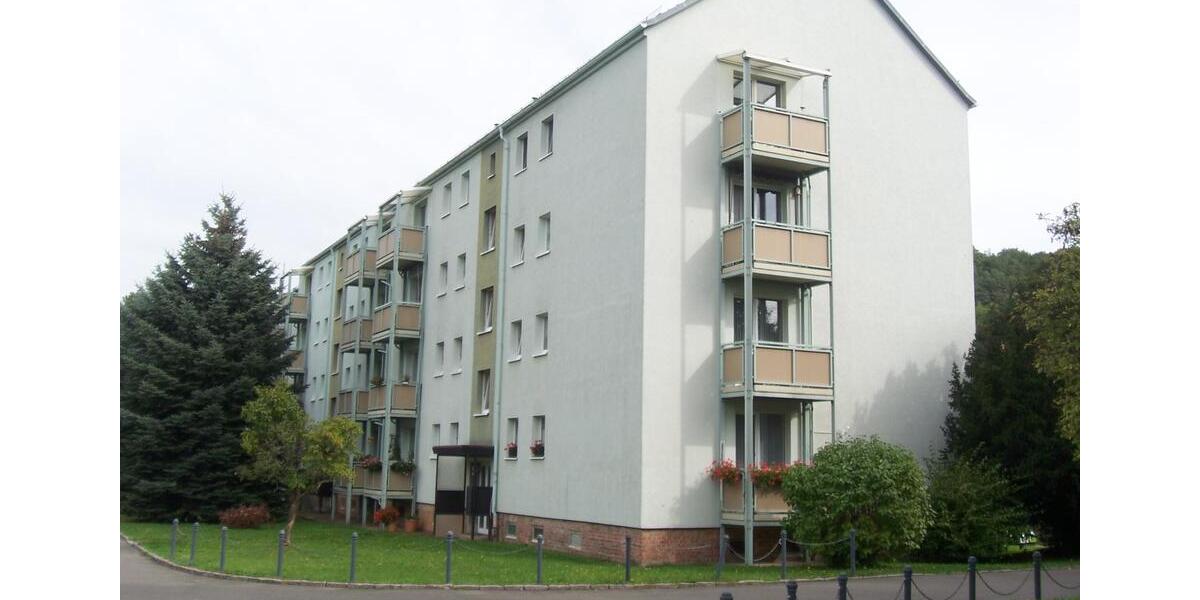 Etagenwohnung Werdau - 2 Zimmer, 49 m&sup2;, 296&euro; | Angebot:26006934