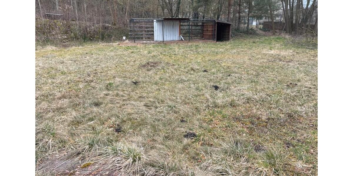 Gewerbeobjekt Fürstenwalde (Spree) - 3.990&euro; | Angebot:24439447