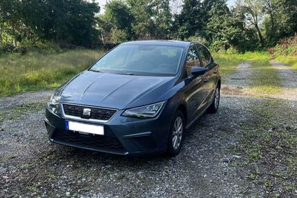 Seat Ibiza 83.000 km 13.900 € Langenargen 88085