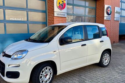 Fiat Panda 75.900 km 7.500 &euro; Bitterfeld-Wolfen 06749