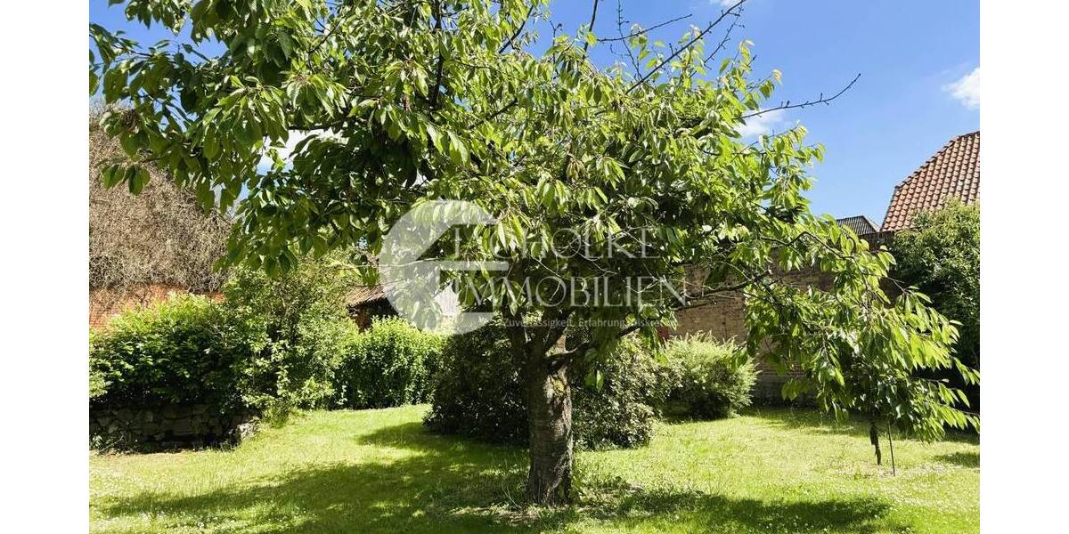 Gewerbeobjekt Ebstorf - 289.000&euro; | Angebot:25802568