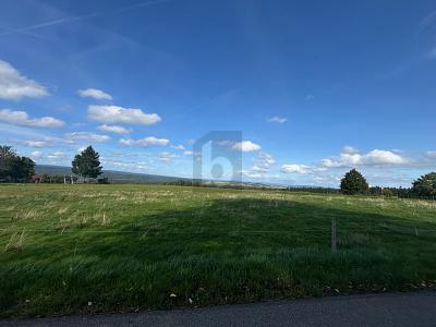 FAMILIEN MIT KLEINEN KINDERN AUFGEPASST! - Grundstück Bonndorf im Schwarzwald | Angebot:27257956