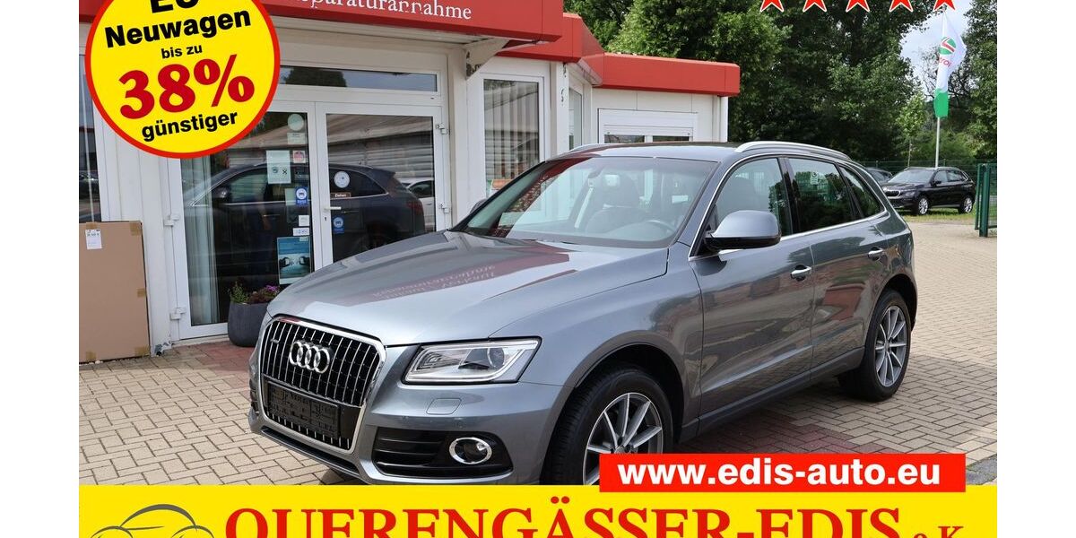 Audi Q5 115.460 km 18.990 &euro; Berga-Wünschendorf 07980
