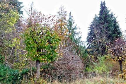 Grundstück Rietschen - 20.000&euro; | Angebot:25746002