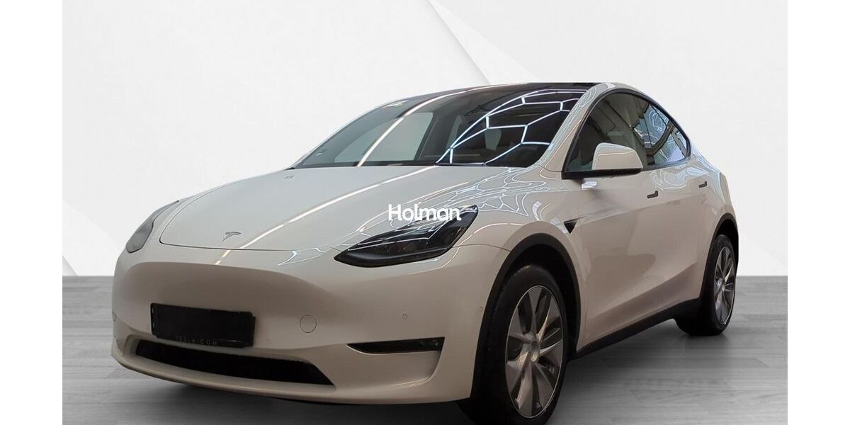 Tesla Model Y 67.500 km 33.670 &euro; Eschborn 65760