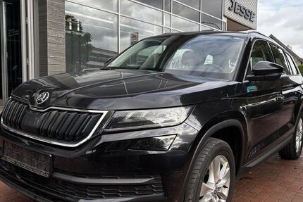 Skoda Kodiaq 173.100 km 16.501 € Ibbenbüren 49477