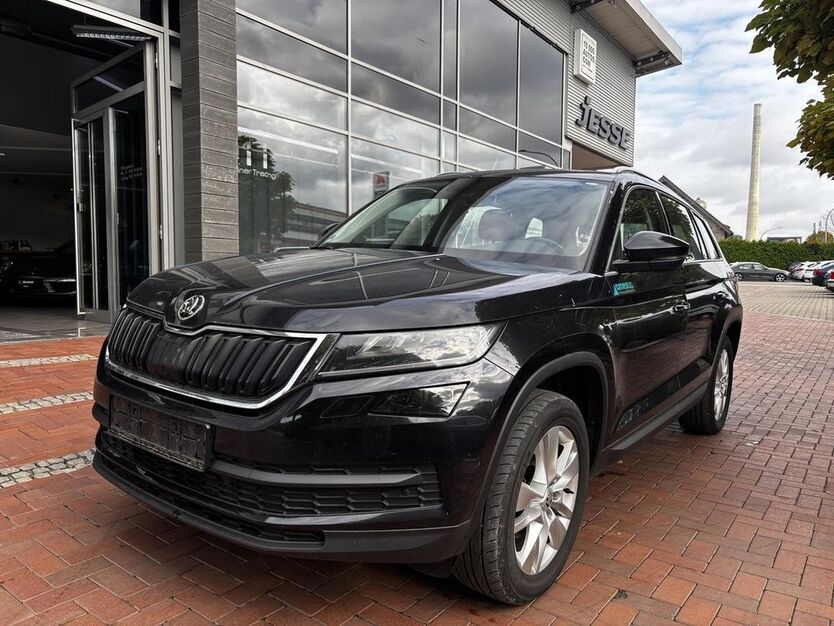 Skoda Kodiaq 173.100 km 16.501 € Ibbenbüren 49477