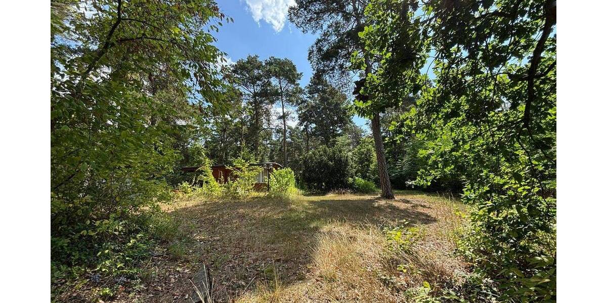 Grundstück Muldestausee Plodda - 140.000&euro; | Angebot:26037268