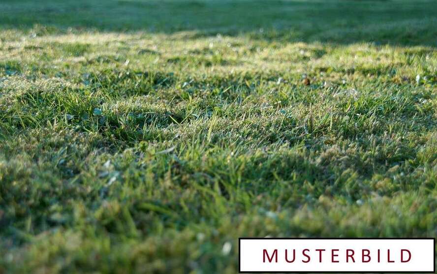 Grundstück zu verkaufen in Neustadt an der Orla 155.500 € 2342 m² zimmer