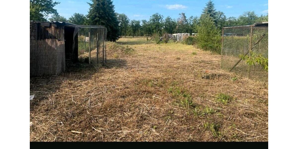 Einfamilienhaus Milower Land - 4 Zimmer, 90 m&sup2;, 159.000&euro; | Angebot:24729650