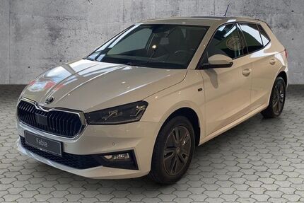 Skoda Fabia 5.000 km 22.980 &euro; Bad Driburg 33014