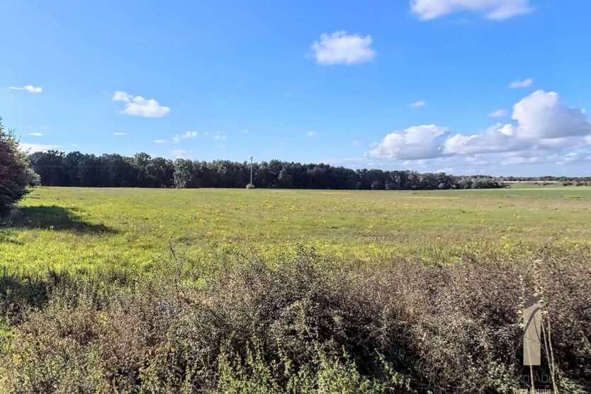 Grundstück zu verkaufen in Osloß 201.000 € 804 m²