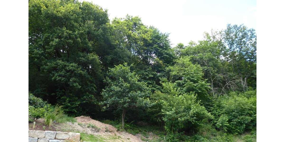 Grundstück zu verkaufen in Sulzbach am Main 225.000 € 1400 m² zimmer