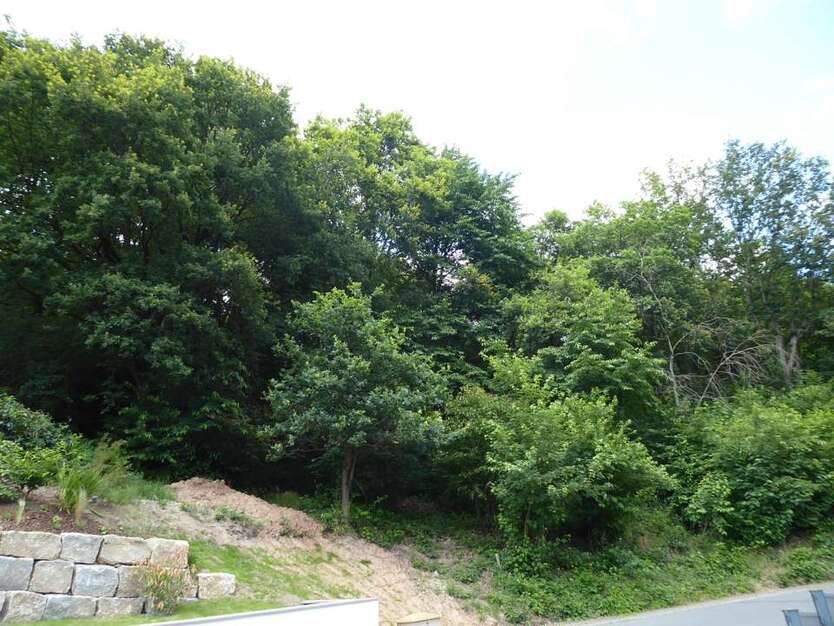 Grundstück zu verkaufen in Sulzbach am Main 225.000 € 1400 m² zimmer