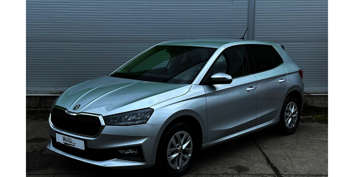 Skoda Fabia 19.090 km 18.590 &euro; Zwönitz / OT Dorfchemnitz 08297