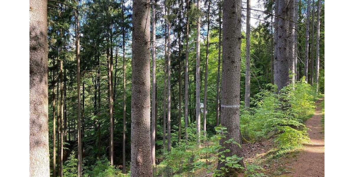 Grundstück Flossenbürg - 170.000&euro; | Angebot:26036735