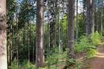 Grundstück Flossenbürg - 170.000&euro; | Angebot:26036735
