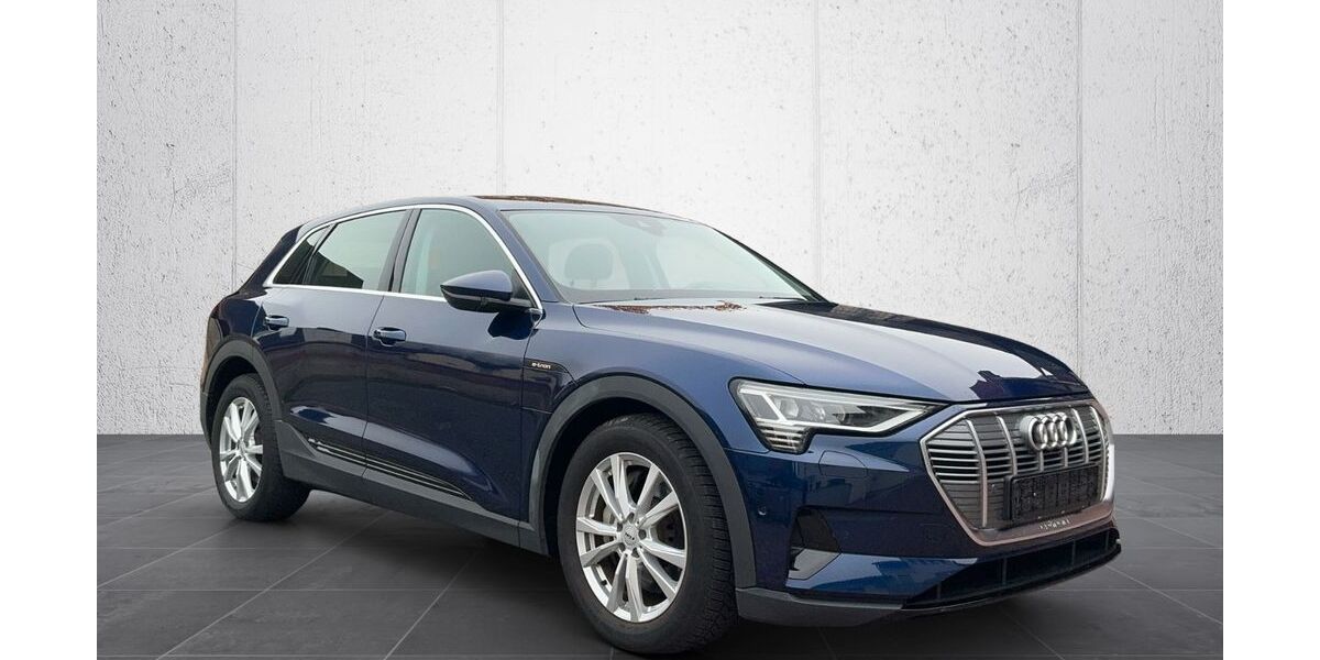 Audi e-tron 75.780 km 28.300 &euro; Fischbachtal 64405
