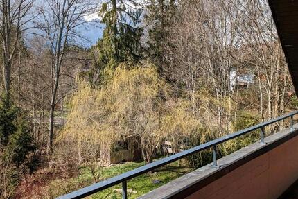 Wohnung zu vermieten am Waldrand! ✨ 4 zimmer