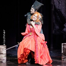 Die Zauberflöte 09.10.2026 Vogtlandtheater