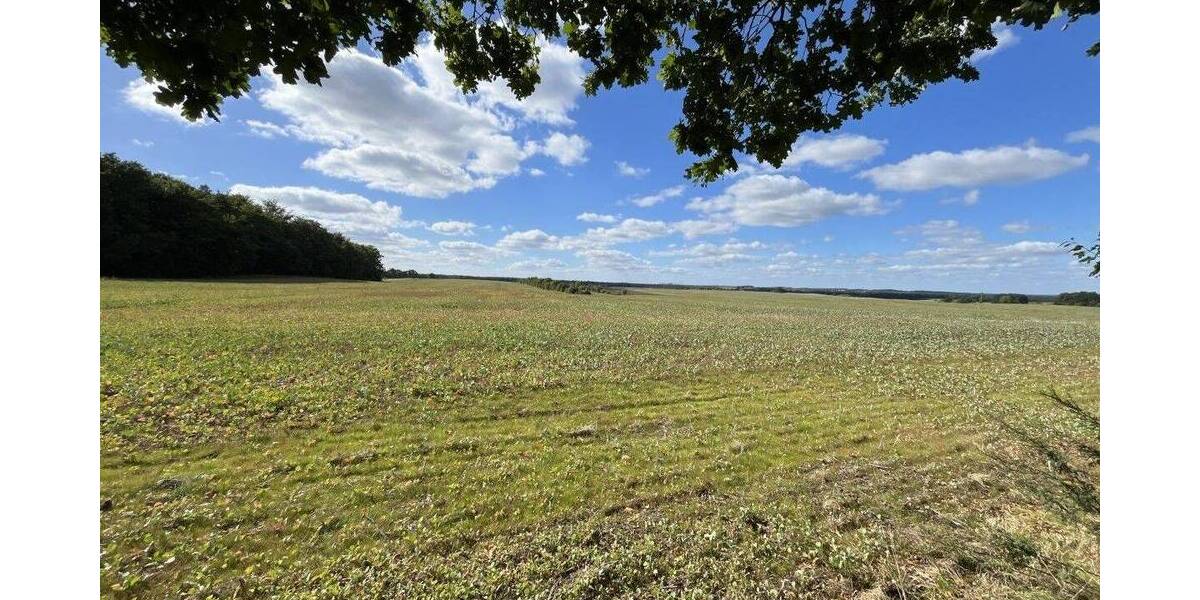 Grundstück Radeberg - 179.000&euro; | Angebot:23577294